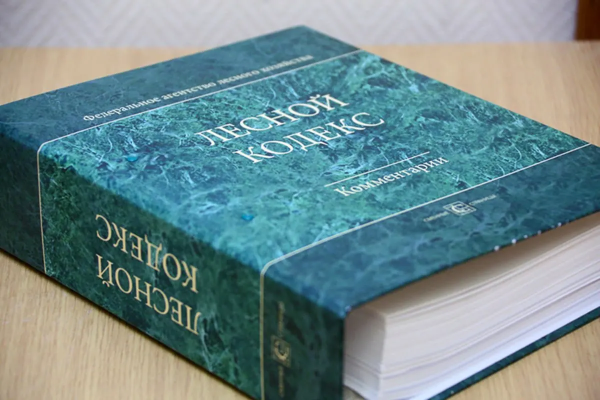 Эксперт по лесному хозяйству отмечает: 79 пакетов поправок превратили кодекс в «новый» документ — это порождает риски для бизнеса и специалистов; требуется его замена и существенное упрощение.