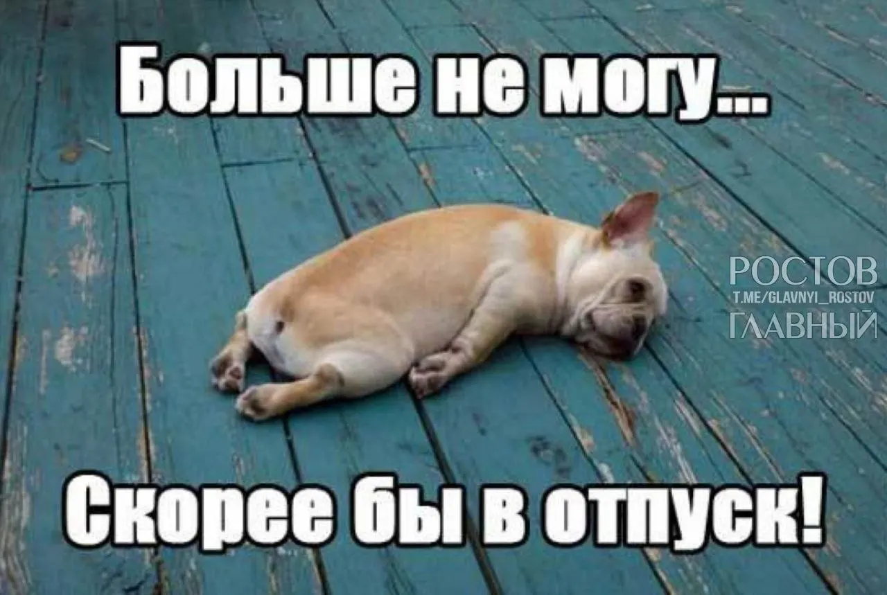 Депутаты Госдумы предлагают увеличить минимальную продолжительность ежегодного отпуска с 28 до 35 дней, чтобы компенсировать выходные, входящие в отпуск, и помочь гражданам лучше отдыхать и избежать выгорания.