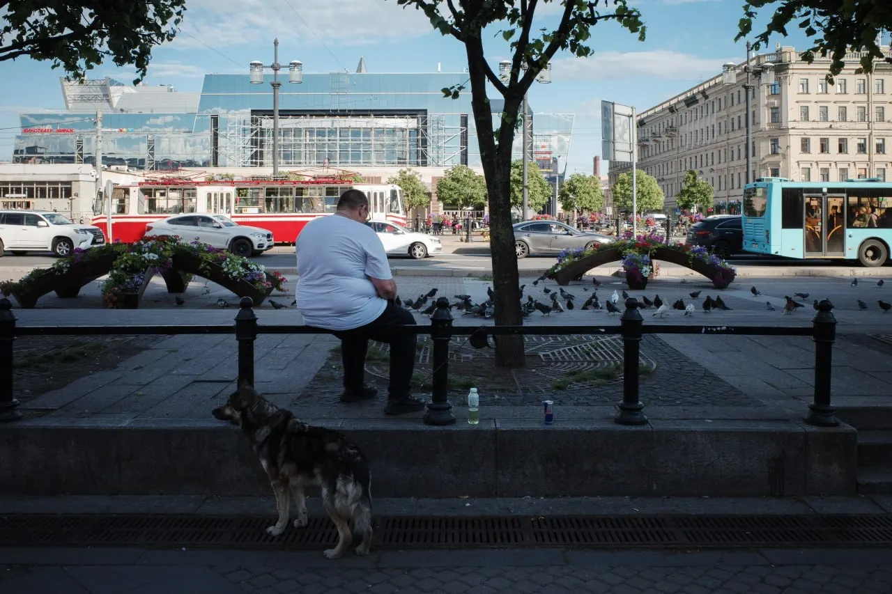В Петербурге присвоили имена безымянным территориям, в монреповском парке убрали цветущие ландыши, железнодорожные перевозчики назначили дополнительные рейсы на праздник. Также — правки о сообщении банковских данных несовершеннолетних, жертвы в Волгоградской области и изменения в работе библиотек.