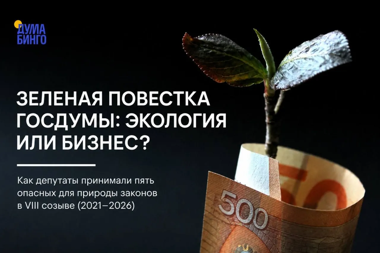 За последние годы в Госдуме приняли ряд законов и поправок, которые эксперты считают ослабляющими охранный режим и расширяющими возможности для хозяйственного освоения природных территорий.