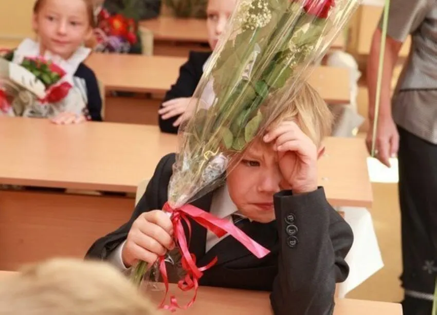 Замглавы Минпросвещения Владимир Желонкин заявил, что 11-летняя модель школьного образования признана оптимальной и менять её сейчас не планируют; все стандарты будут формироваться с расчётом на 11 классов.
