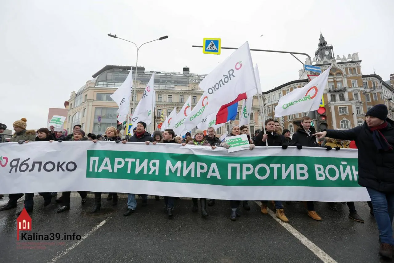 Регистрация федерального списка «Яблока» эксперты связывают с попыткой направить протестное настроение в безопасное русло. При этом многих известных представителей партии не допустили к выборам.