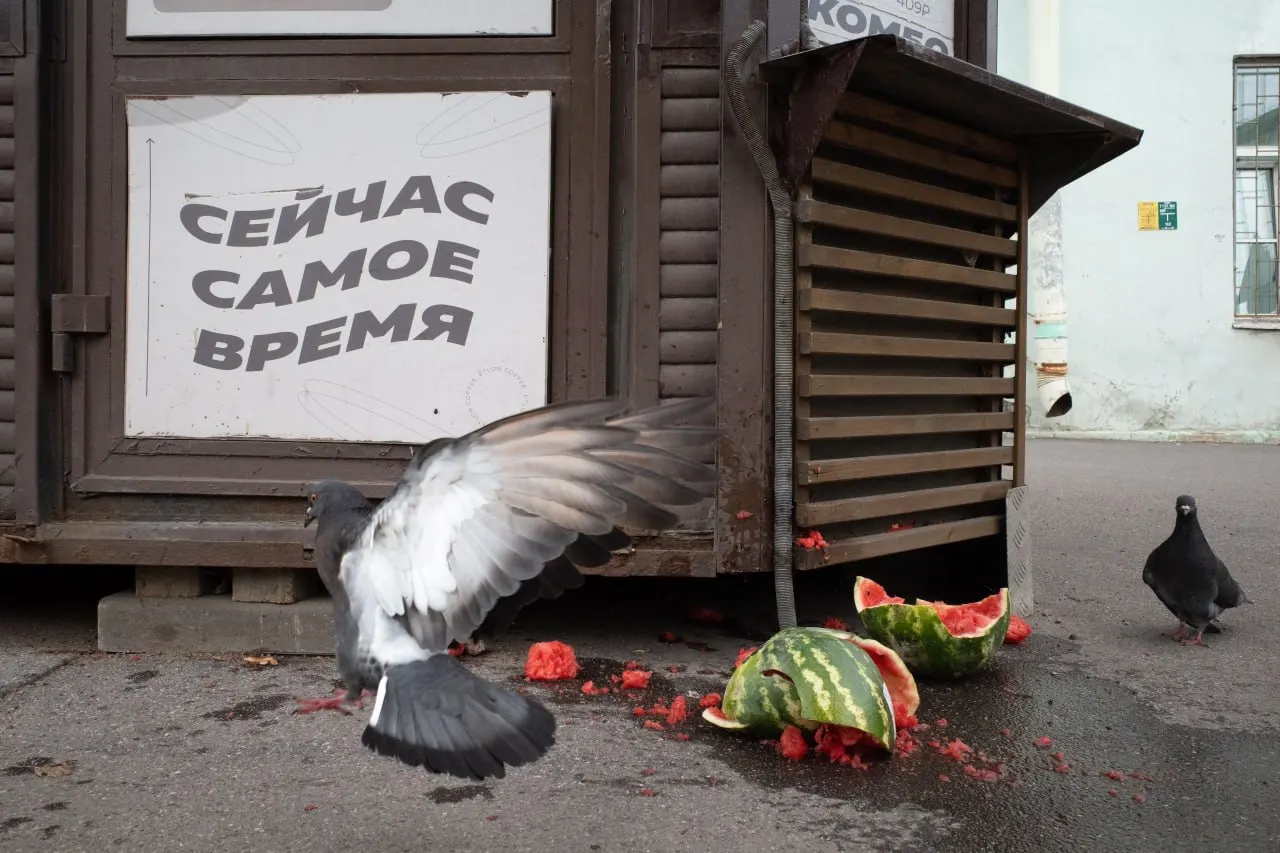 Штраф за антивоенную позицию в Петербурге, ход выборов и памятные мероприятия, а также кадровые перестановки в Минобороны.