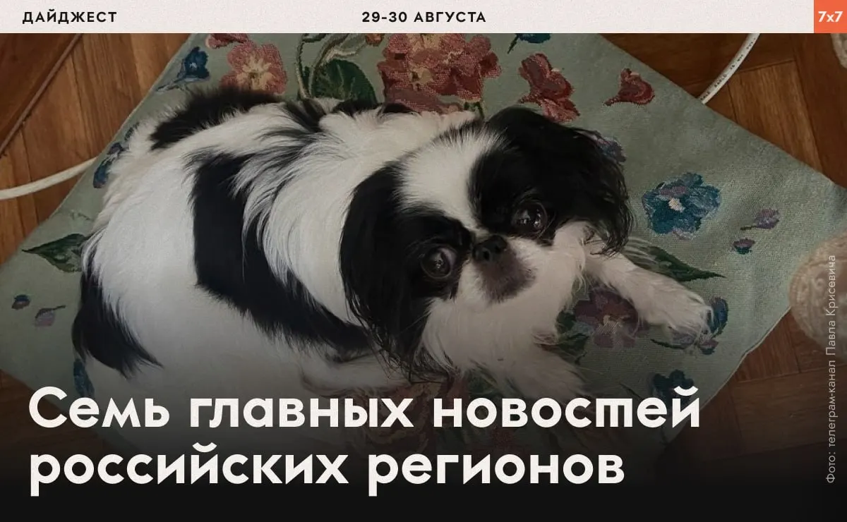 Короткая сводка: политзаключённого заставили бегать, чиновники проверяют маникюрщиц, газеты запретили агитацию Яблока, а в регионах идут расследования и споры.