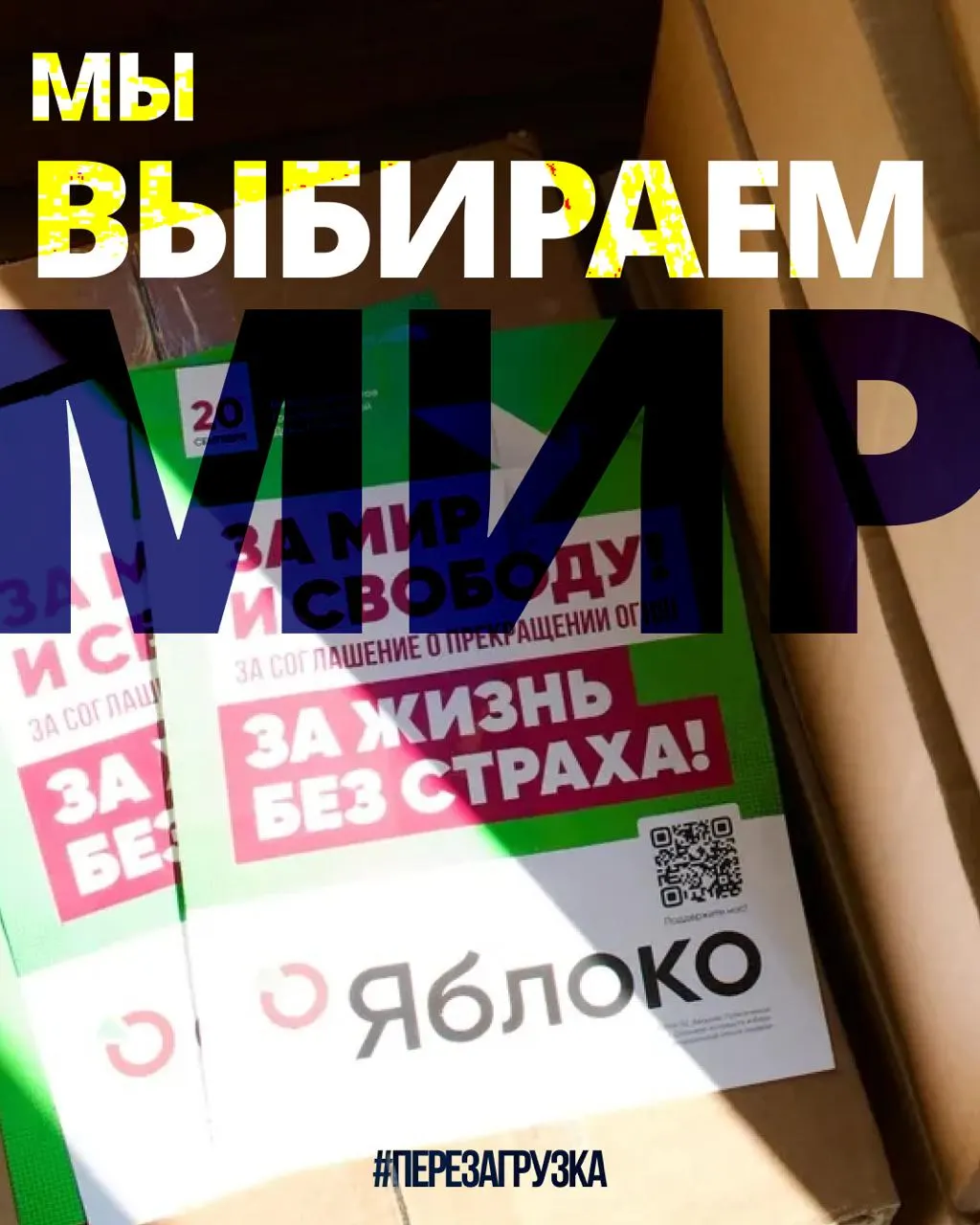 В 53 регионах идёт кампания 135 кандидатов от партии. На единой карте можно выбрать регион и найти представителей за мир и свободу. 14 августа ожидается апелляция по списку; поддержка растёт.