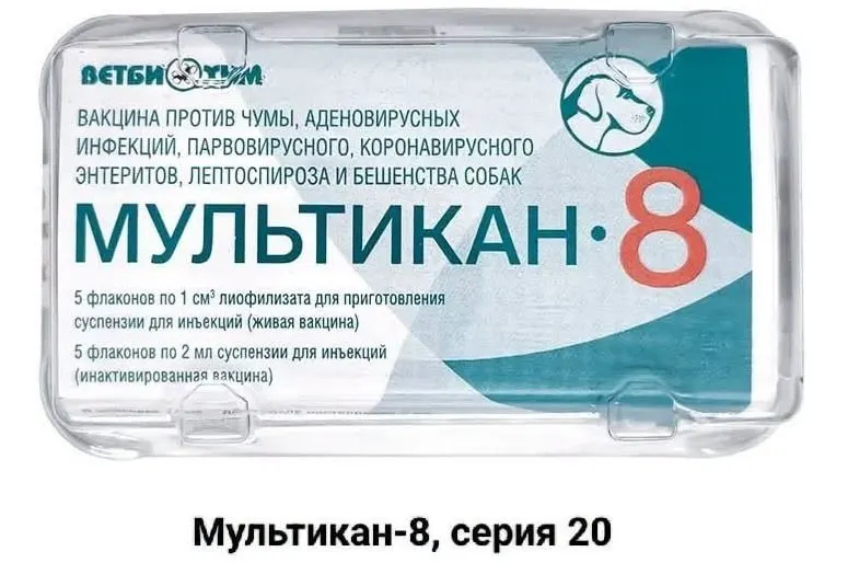 В нескольких регионах зафиксированы случаи гибели собак после вакцинации Мультикан-8; владельцы настаивают на прозрачном расследовании и независимых анализах.